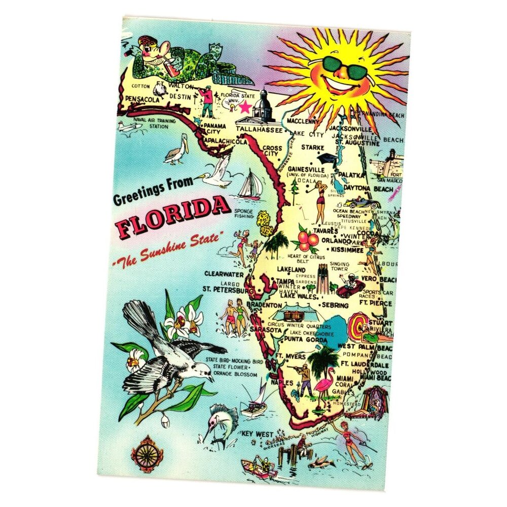 Vintage Florida Postcard Greetings From The Sunshine State Vacation Tourism Map